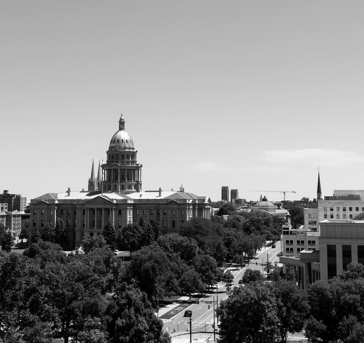 Black-and-white view of the Colorado State Capitol dome above tree-lined Denver streets